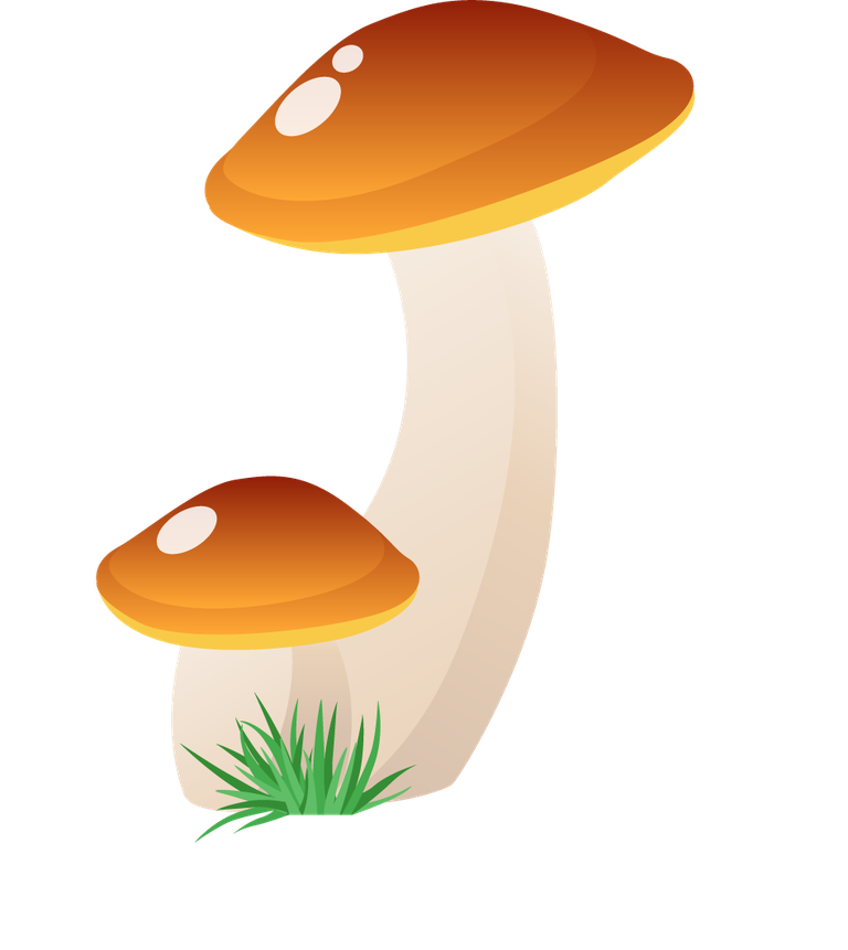 simple mushroom forest illustration