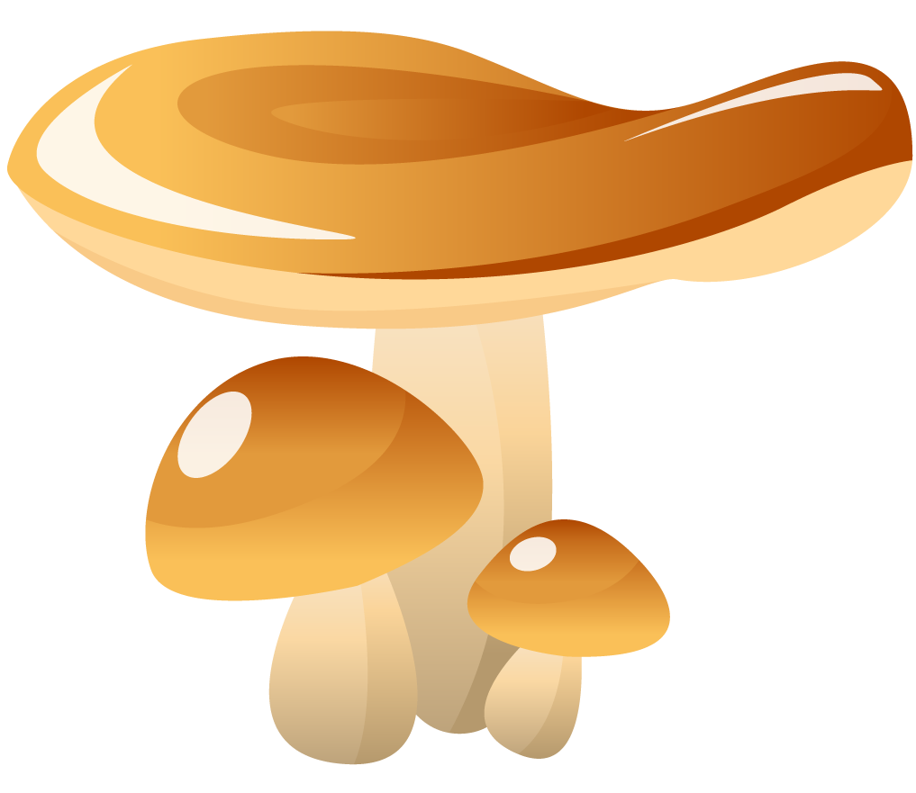 simple mushroom forest illustration with vibrant colors and playful shapes for outdoor themes
