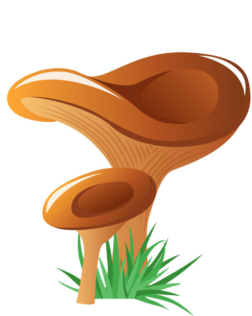 simple mushroom forest illustration with vibrant colors for children's educational materials