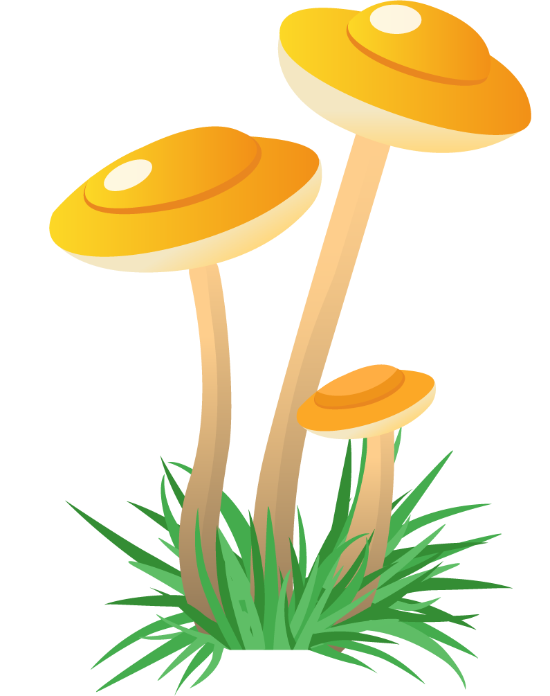simple mushroom forest illustration showcasing vibrant mushrooms with lush grass for nature lovers