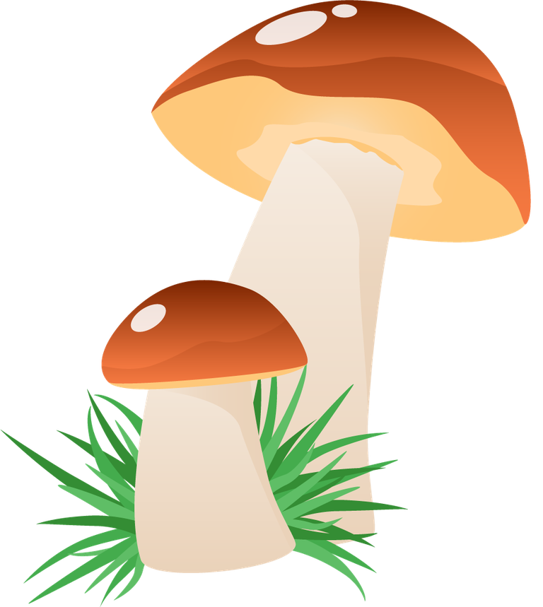 simple mushroom forest illustration with vibrant colors and lush greenery for nature themes