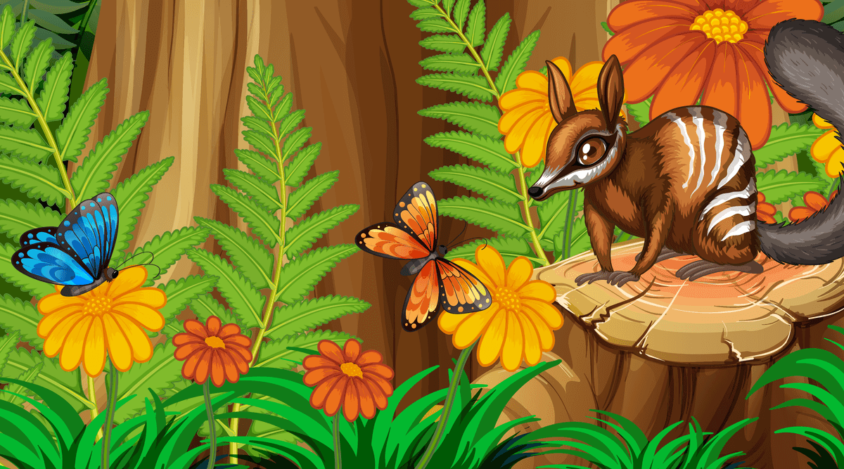 four different nature horizontal scene with vibrant flora and fauna illustrations