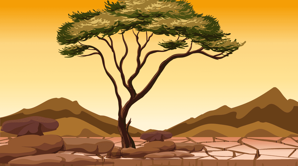 four different nature horizontal scene showcasing vibrant landscapes and diverse environments