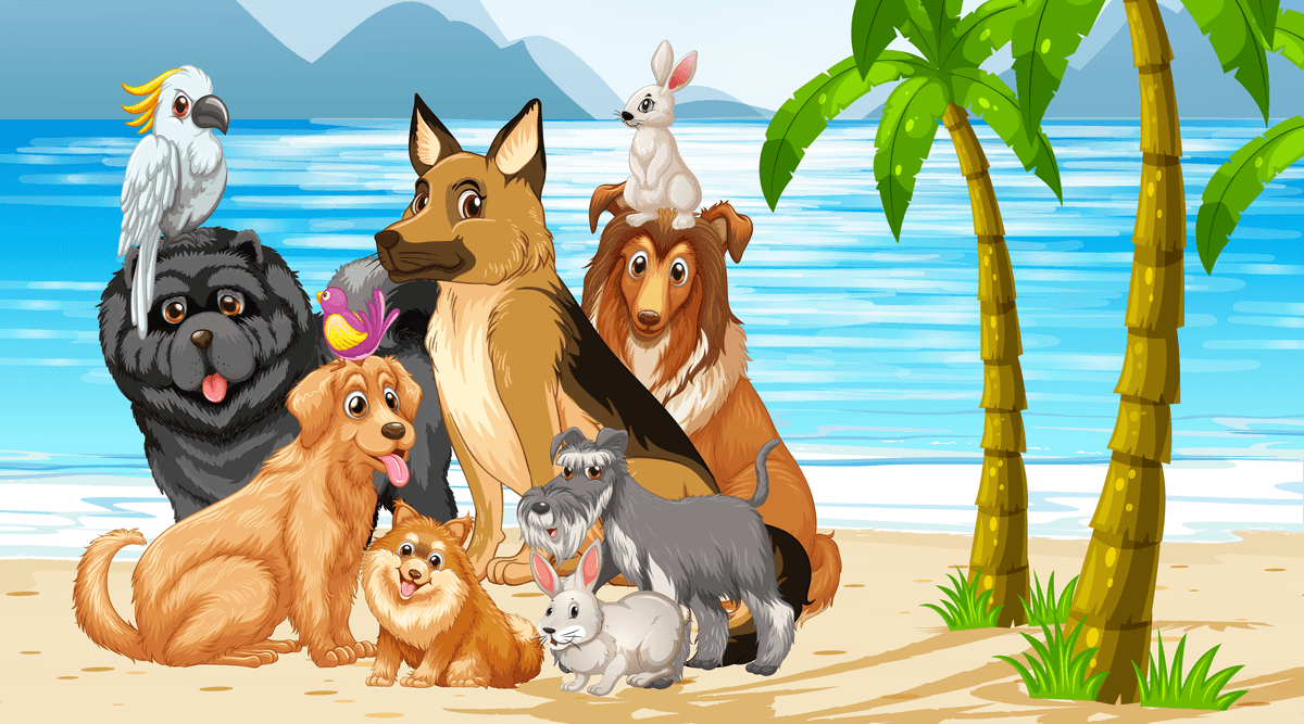 four different nature horizontal scene featuring playful pets on a sunny beach