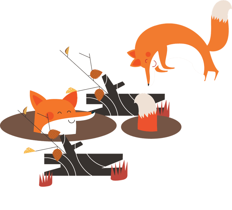 fox wild animal icons collection colorful classical 