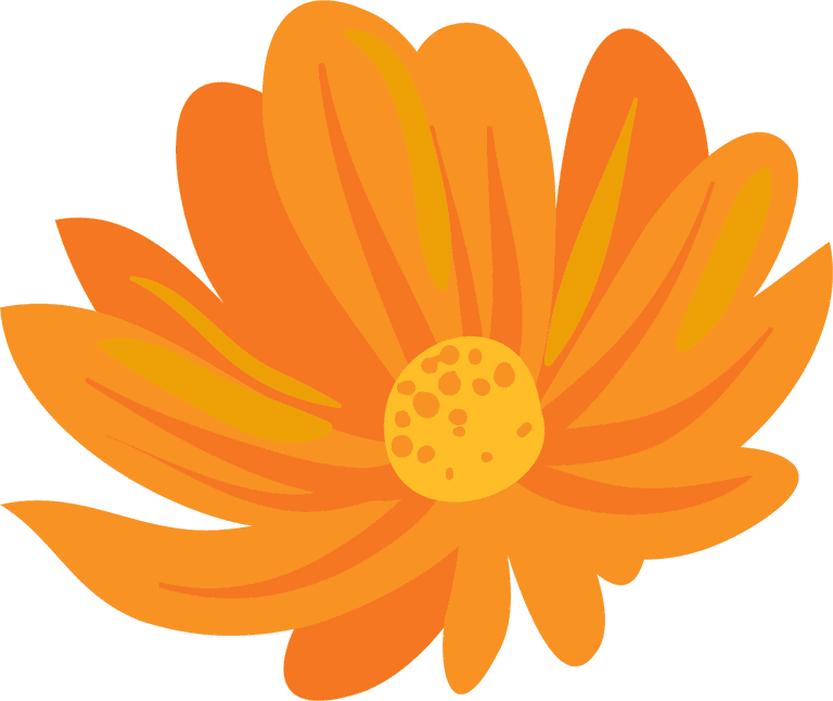 free flowers vectors including calendula st john s wort clover in differ