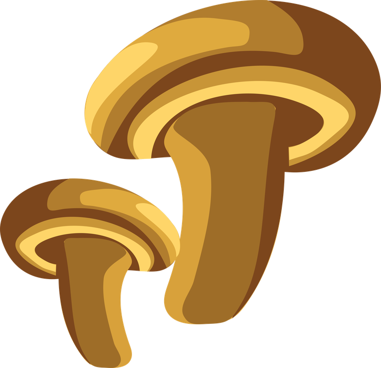 fresh fruit free fruits graphics featuring vibrant mushrooms for culinary delights