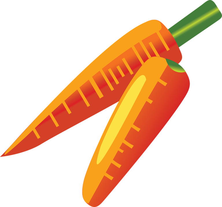 fresh fruit free fruits graphics of vibrant carrots for culinary and educational purposes