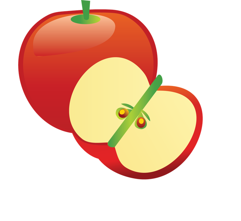fresh fruit free fruits graphics for healthy lifestyle promotion in modern art style