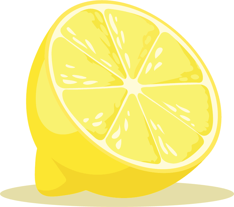fresh lemon fruit and lemon slice illustration