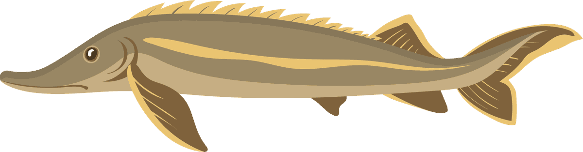 freshwater animals sea freshwater fish set