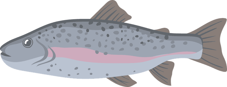 freshwater animals sea freshwater fish set