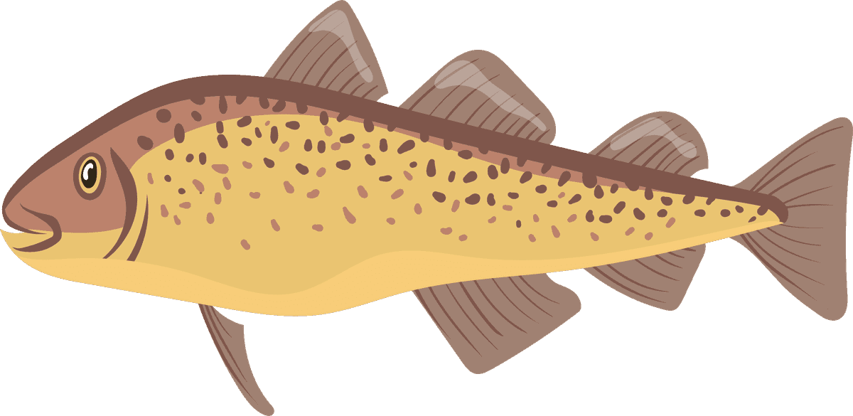 freshwater animals sea freshwater fish set