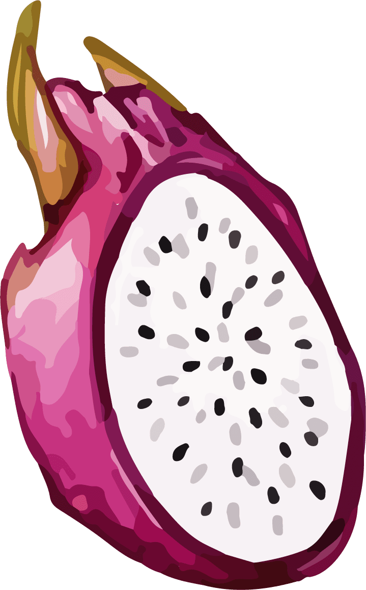 fruit dragon fruit color vector