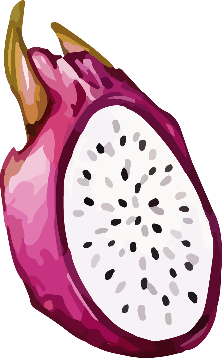 fruit dragon fruit color vector