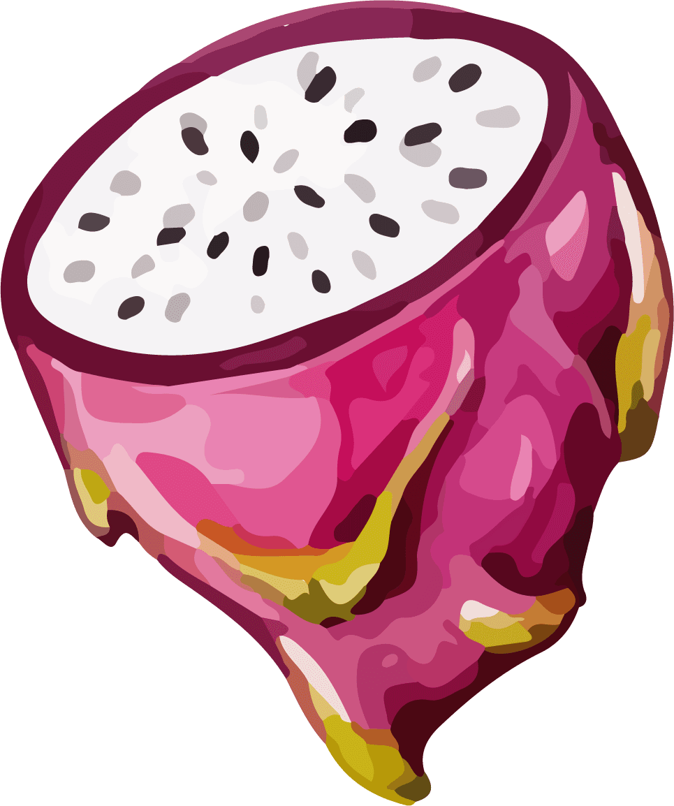 fruit dragon fruit color vector