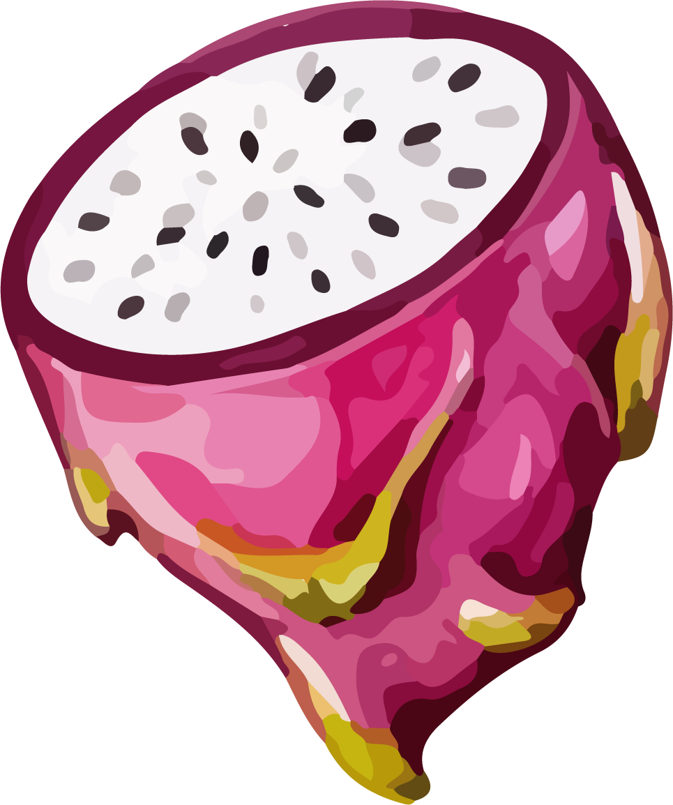 fruit dragon fruit color vector