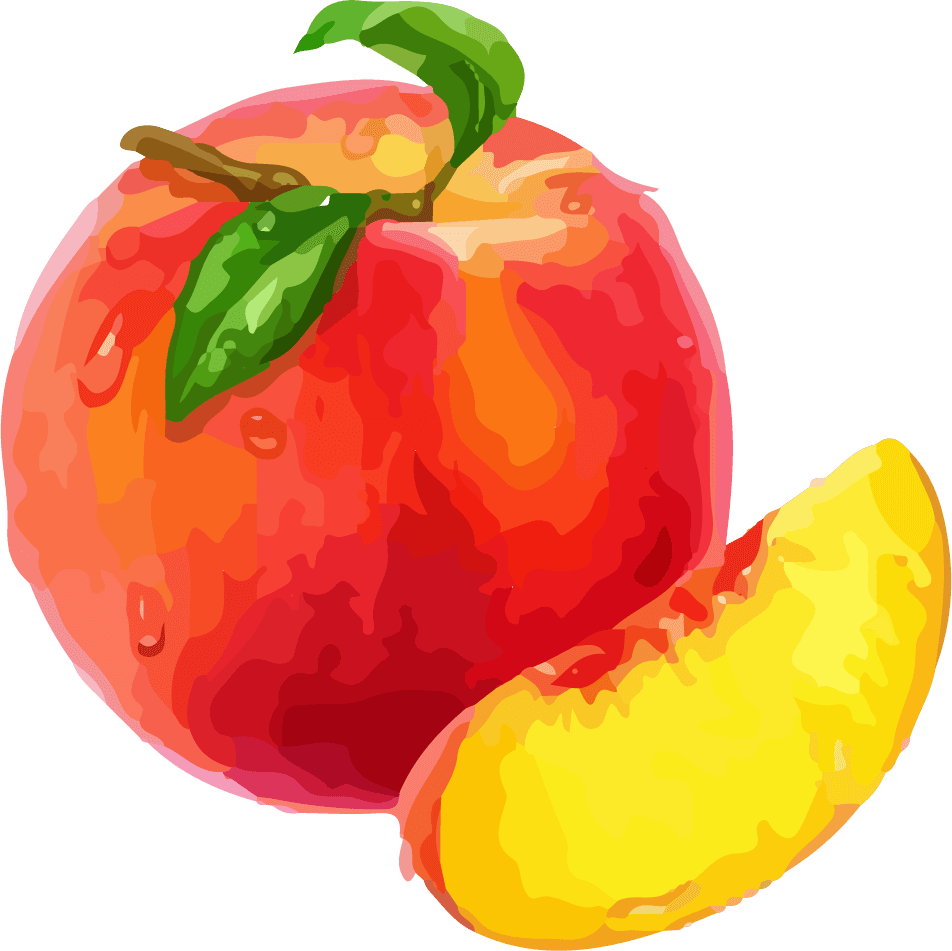 fruitful being an illustrator watercolor vector
