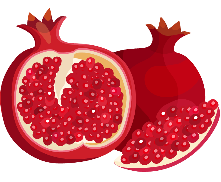 fruits berries colorful icons collection featuring vibrant pomegranate illustrations for culinary uses