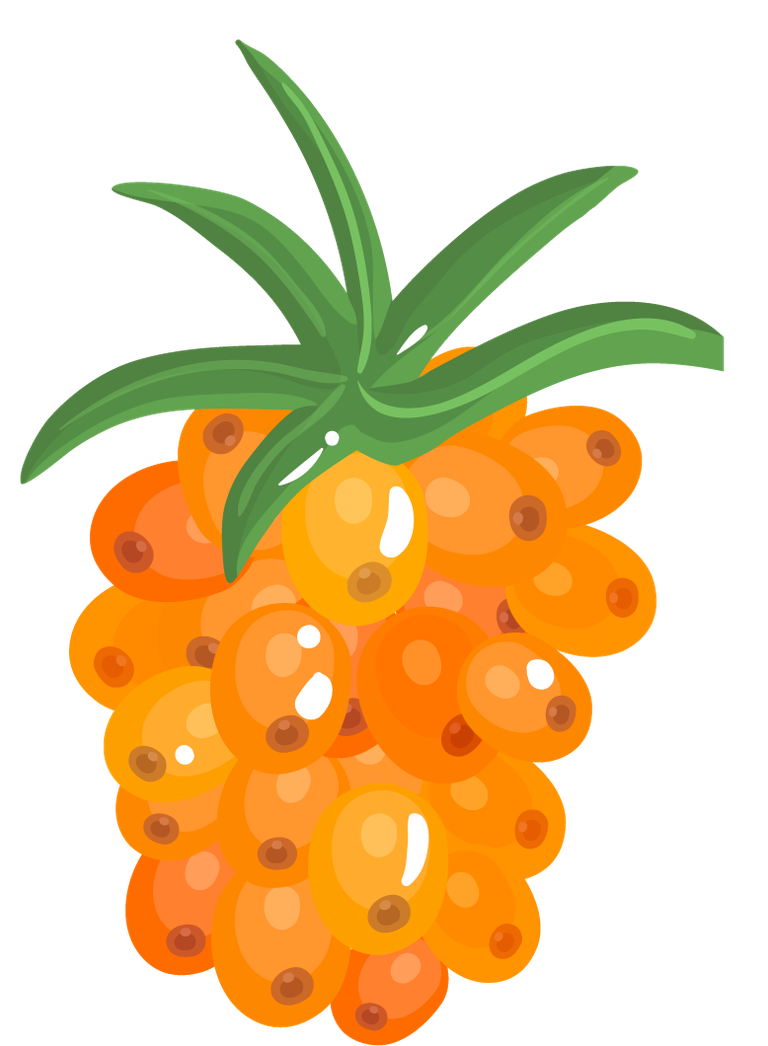 fruits berries colorful icons collection featuring vibrant illustrations for creative projects