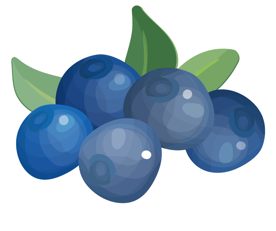 fruits berries colorful icons collection featuring vibrant blueberries and fresh leaves