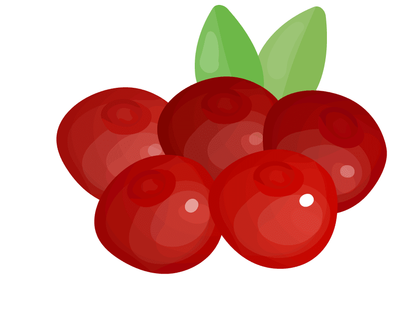 fruits berries colorful icons collection perfect for healthy lifestyle and fresh recipes