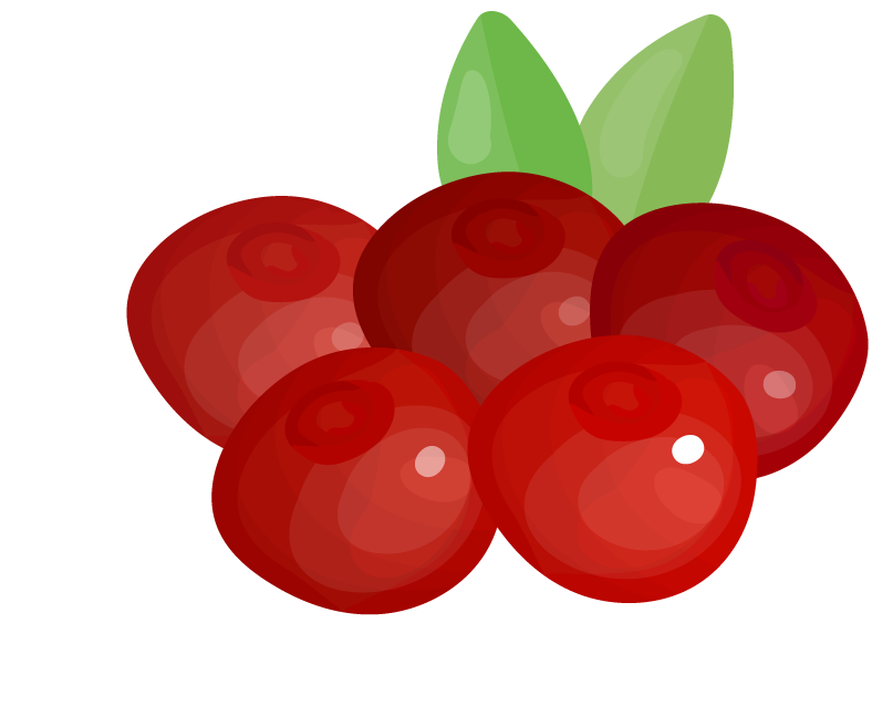 fruits berries colorful icons collection perfect for healthy lifestyle and fresh recipes