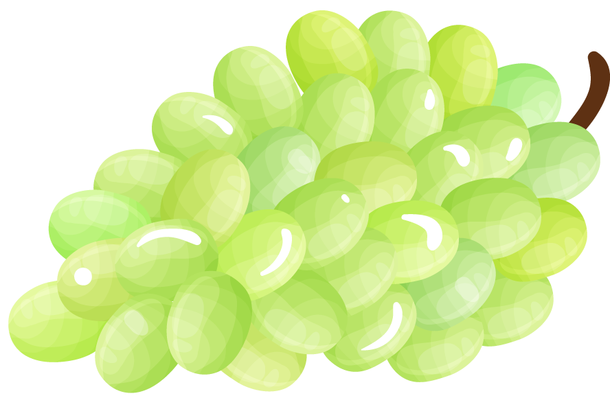fruits berries colorful icons collection featuring fresh and vibrant grape illustrations for various uses