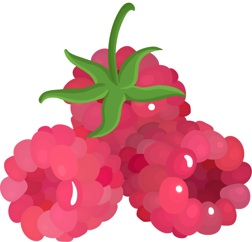 fruits berries colorful icons collection featuring vibrant raspberry illustrations for digital use