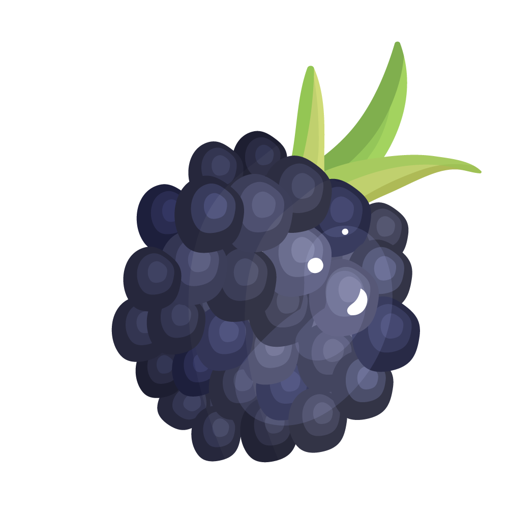 fruits berries colorful icons collection with vibrant illustrations for various applications