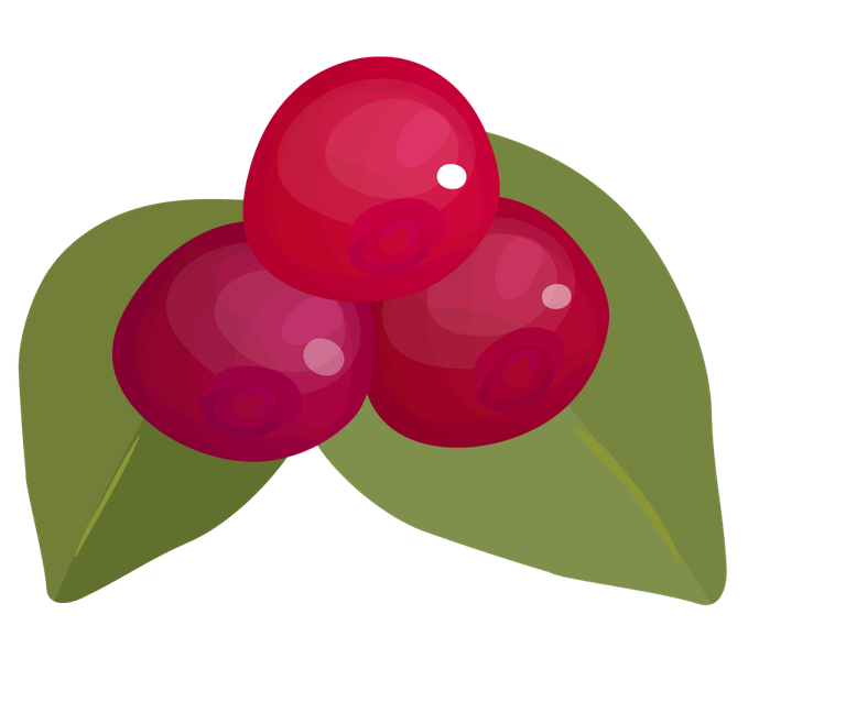 fruits berries colorful icons collection for healthy food and nutrition enthusiasts