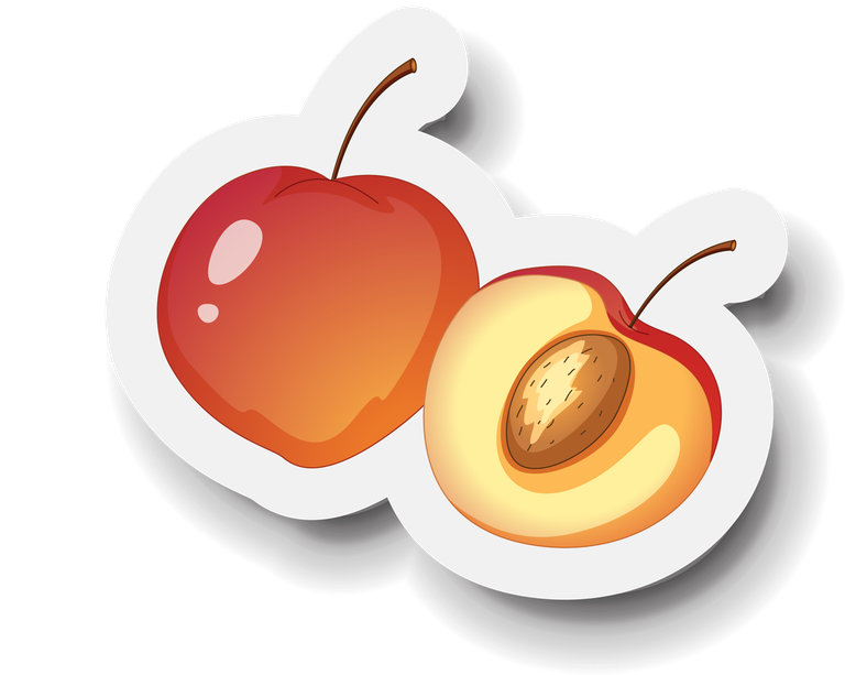 fruits set dessert fruit sticker