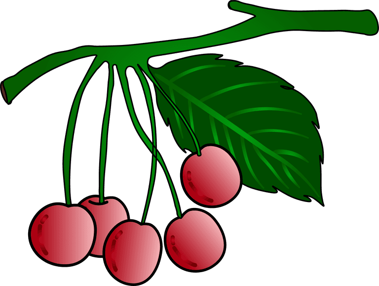 fruta cor vermelho cereja vetor de cacho