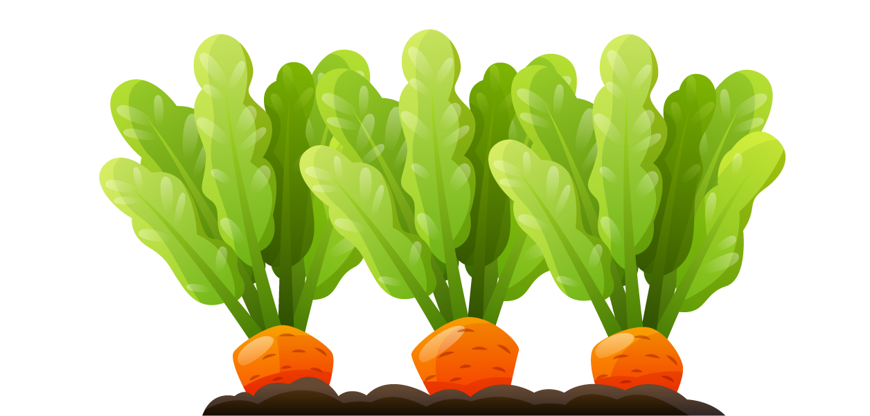 gardening decorative color icons featuring vibrant carrots and lush greens for planting ideas
