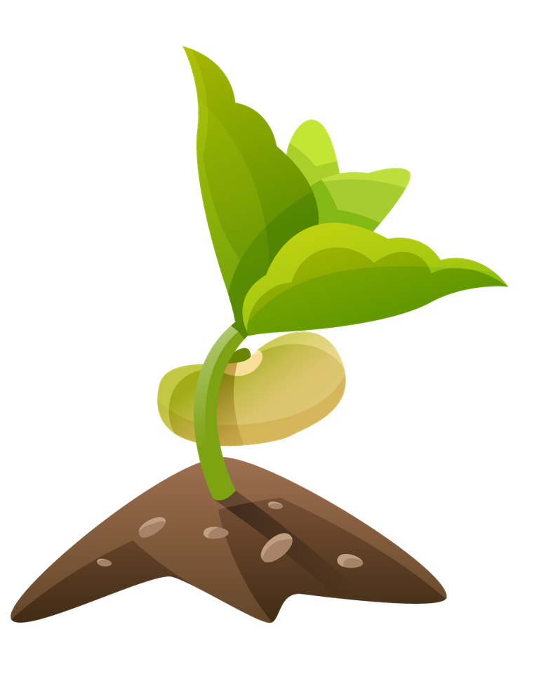 gardening decorative color icons for planting and nurturing vibrant plants indoors and outdoors