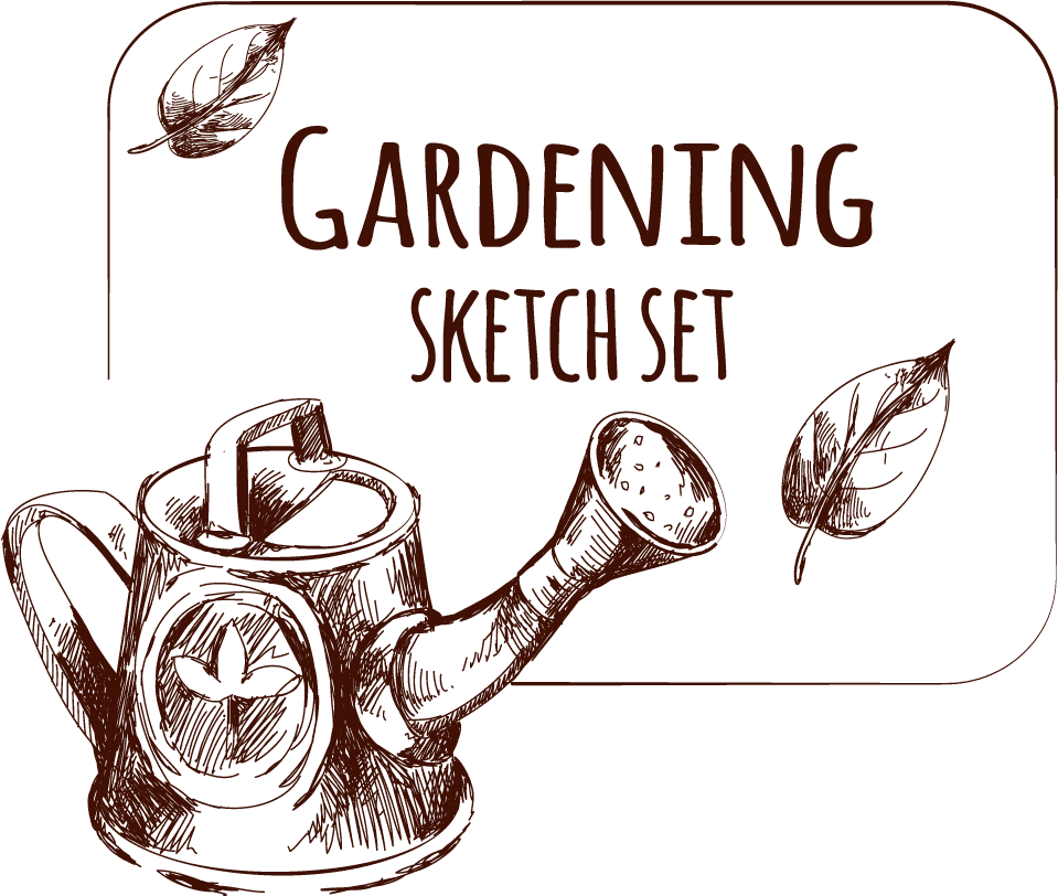 hand-drawn gardening plant sketches