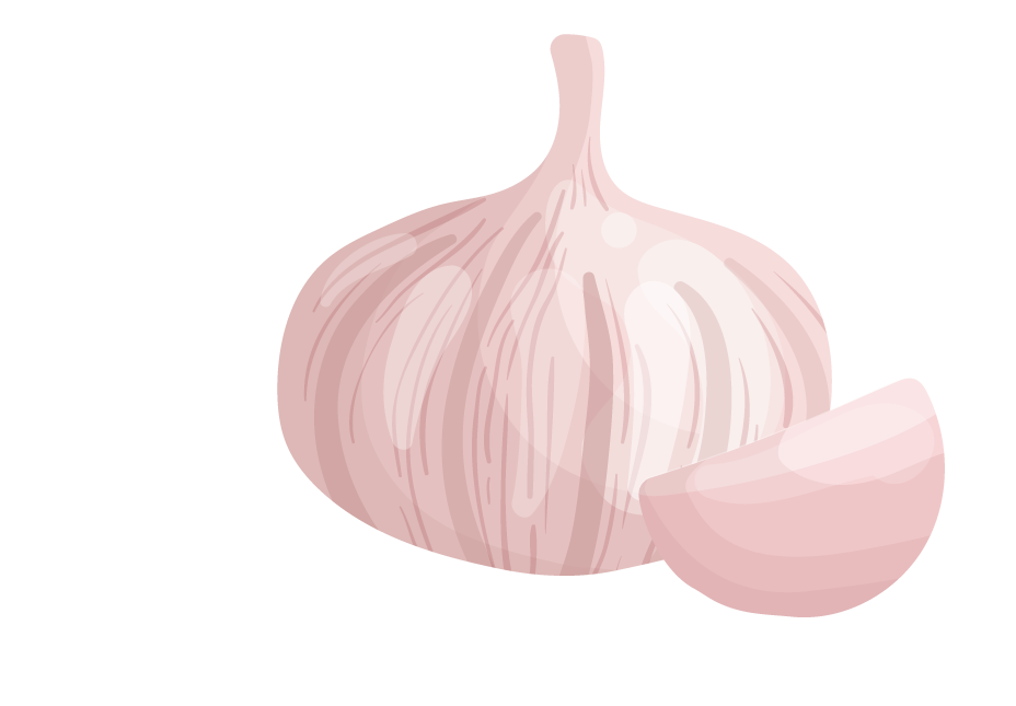 garlic vegetables herbs collection for culinary delights and healthy meals