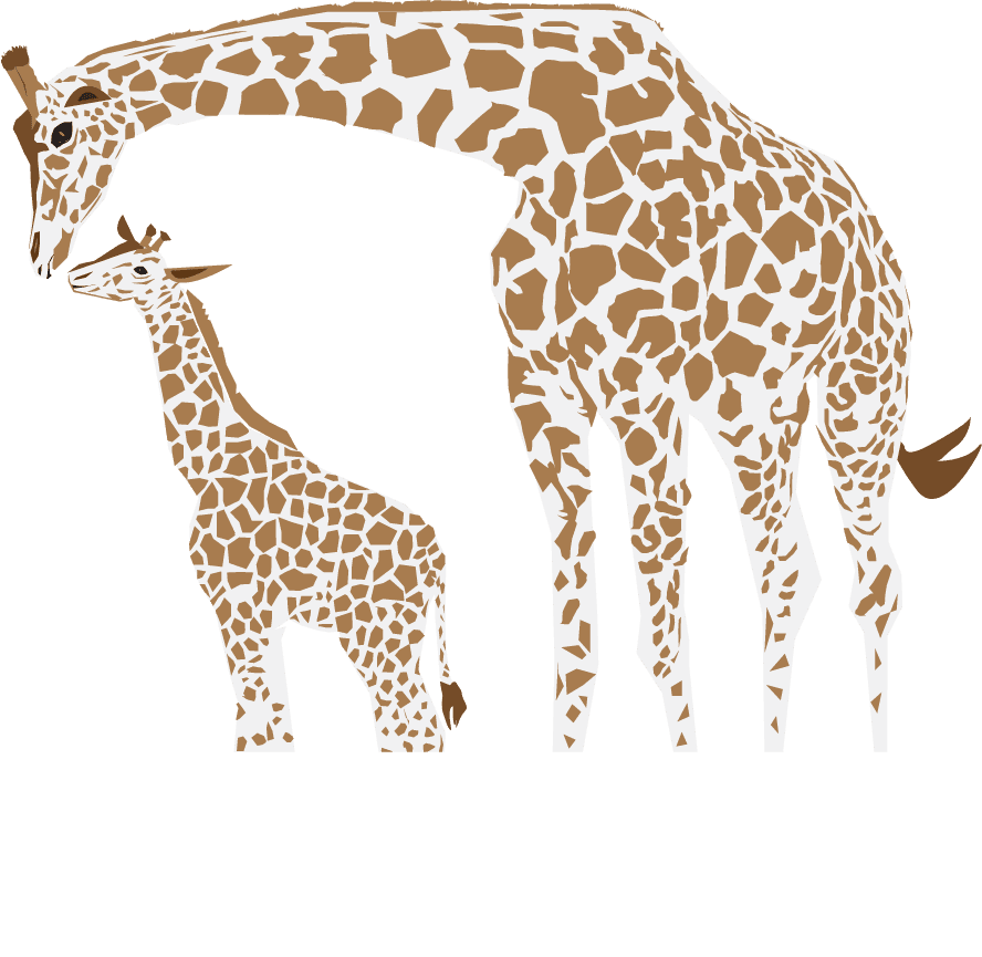 giraffe reindeer rhino zebra panther giraffe icons collection