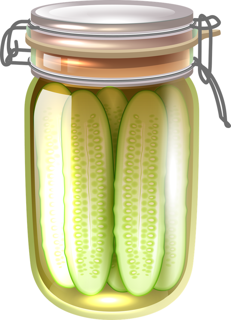 glass jars for food canned food set