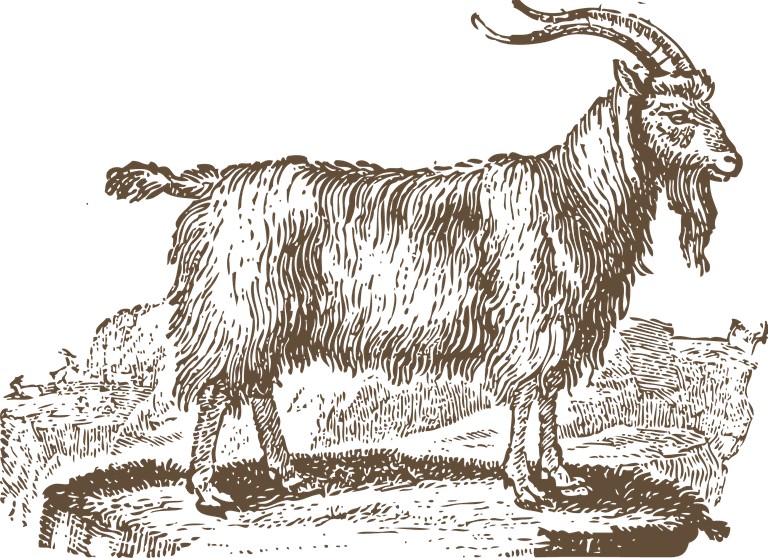 goat vintage sheep illustrations with rustic charm for farm-themed projects