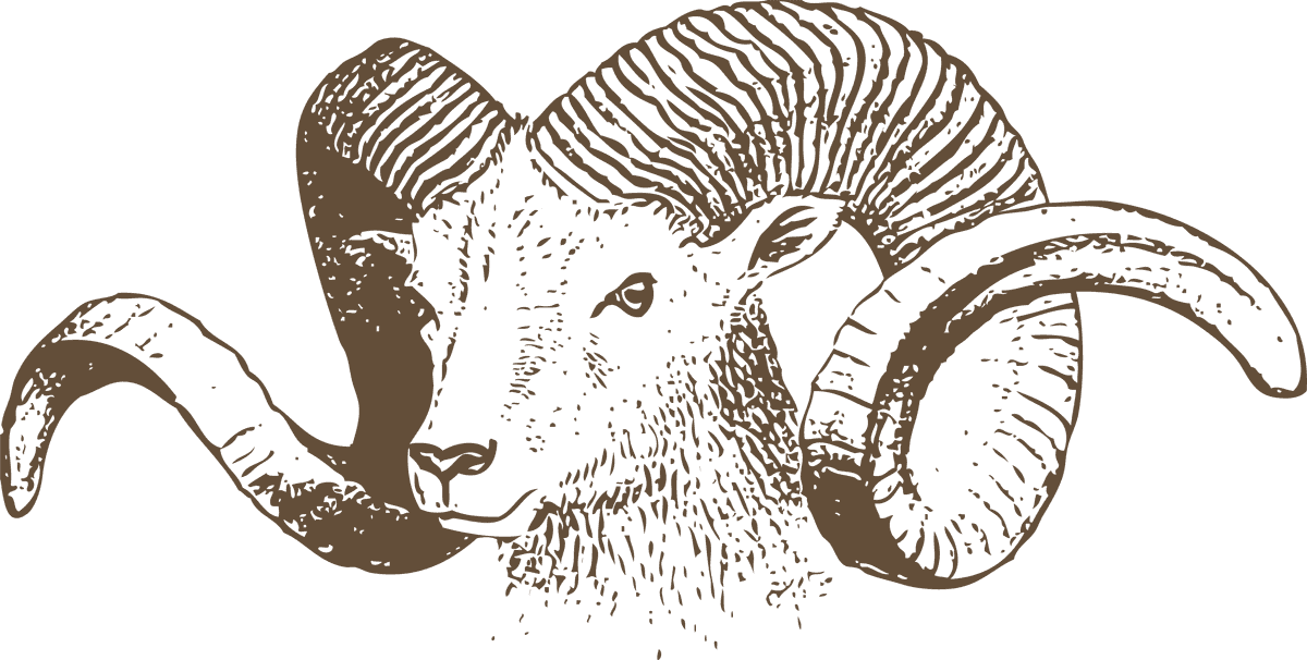 goat vintage sheep illustrations with intricate details and rustic charm for farmhouse decor
