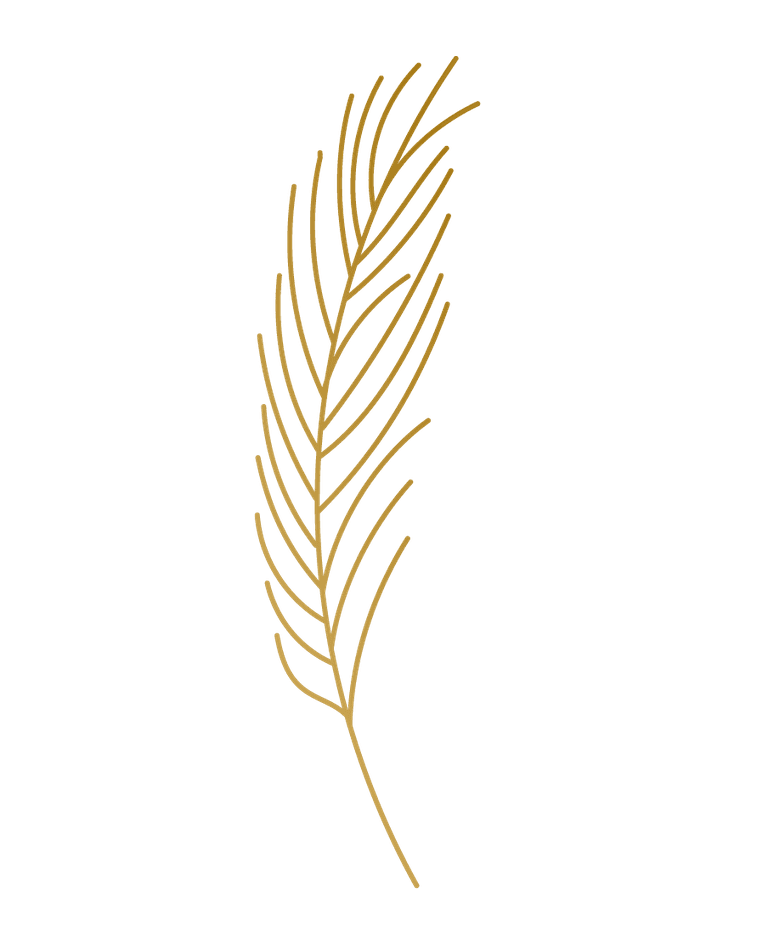 gold hand drawn plant leafs for elegant branding and creative projects