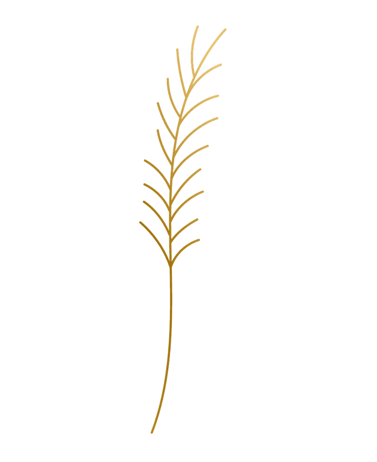 gold hand drawn plant leafs for elegant home decor and branding projects