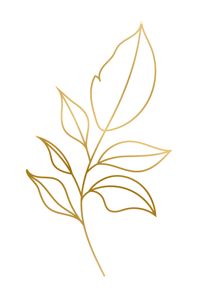 gold hand drawn plant leafs for elegant home decor and natural branding