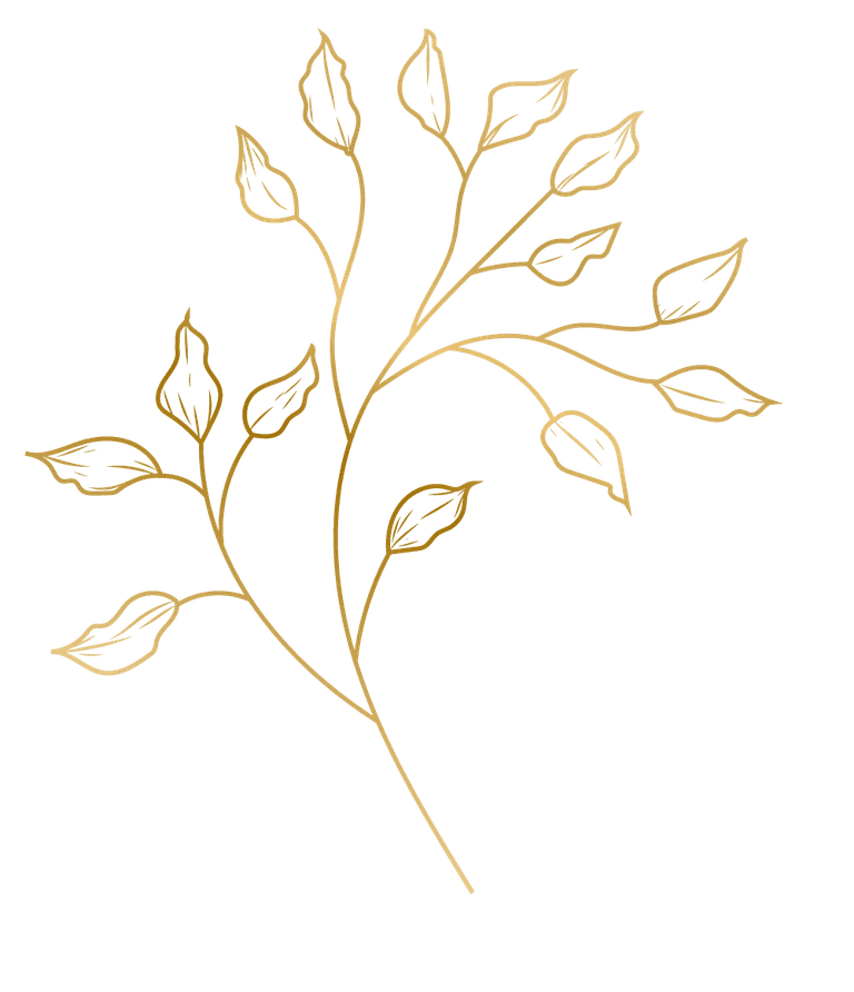 gold hand drawn plant leafs for elegant decor and branding applications