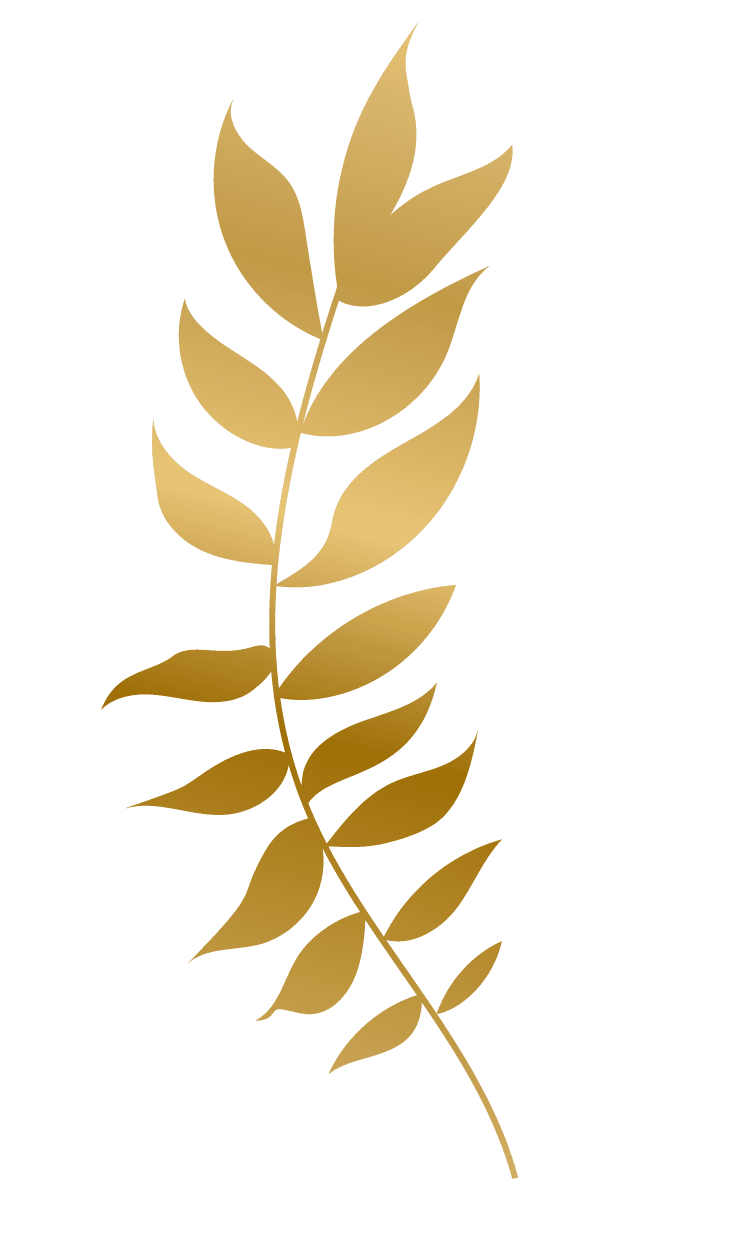 gold hand drawn plant leafs with elegant curves for nature-inspired decor