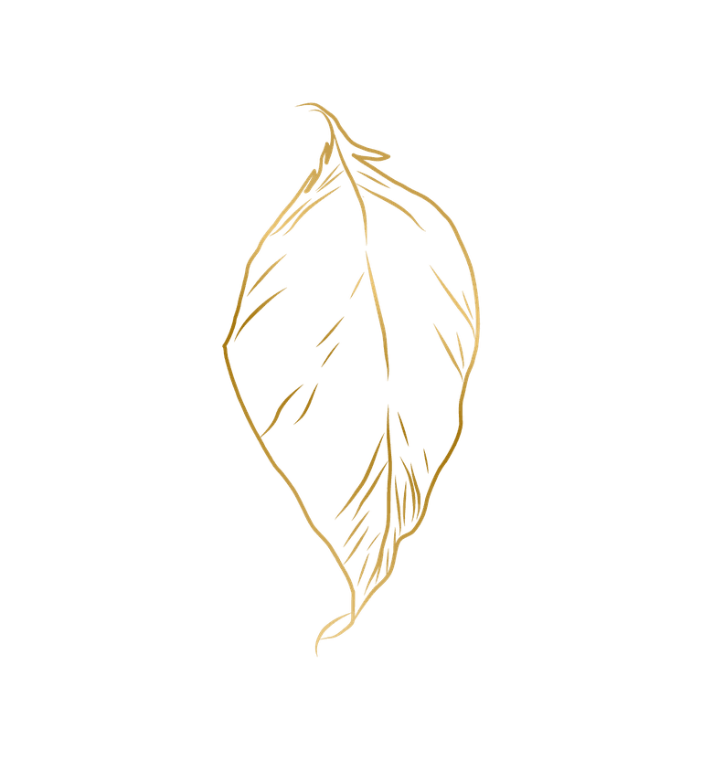 gold hand drawn plant leafs for elegant home decor and artistic branding