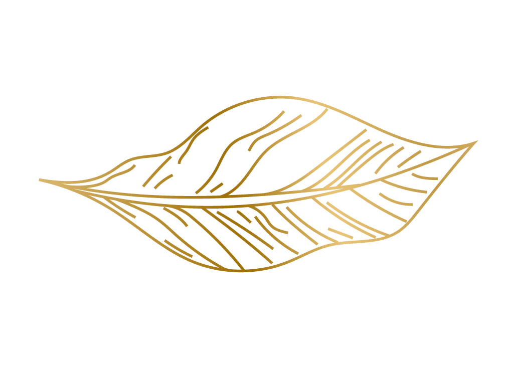 gold hand drawn plant leafs illustration for elegant natural backgrounds or branding