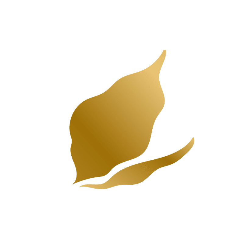 gold hand drawn plant leafs for elegant home decor and branding projects