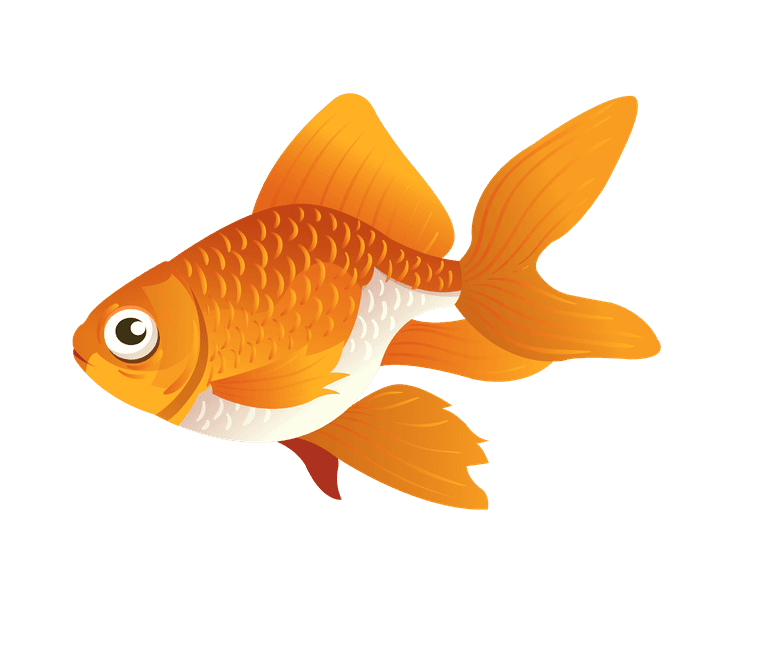 goldfish mouth expressions great for element illustration or animation
